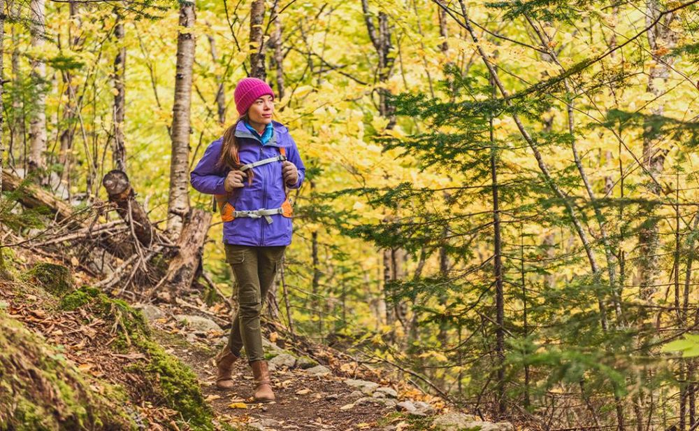 Hiker walking on forest trail with yellow leaves foliage.